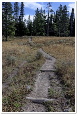 Connector to Wapiti Trail