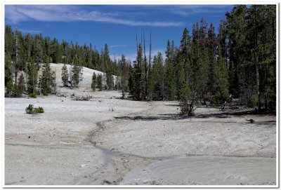 Thermal Area Along Wapiti Trail 2