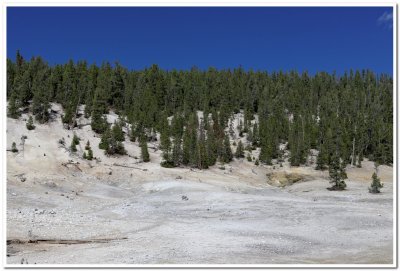 Thermal Area Along Wapiti Trail 3