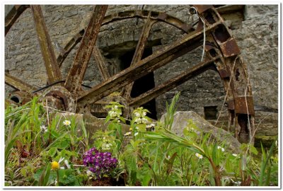 Water Wheel, Bective Mill, Ireland