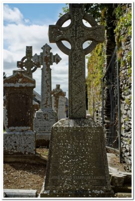 Graveyard, Ardcath Church, Ireland