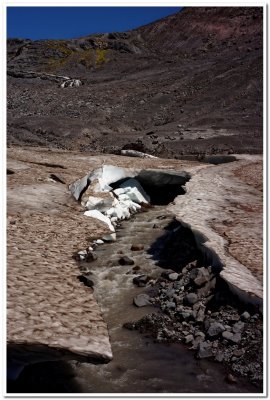 Disconnected toe of Paradise Glacier