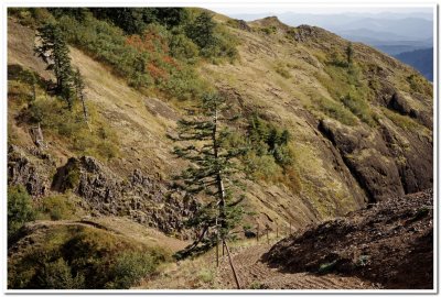 Heading Down Saddle Mountain