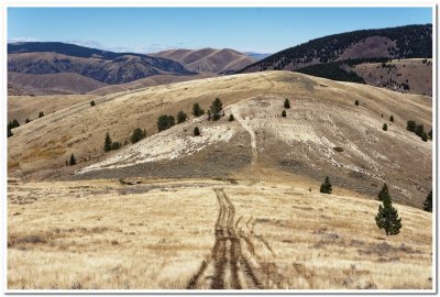 Continental Divide Trail near Lima, Montana