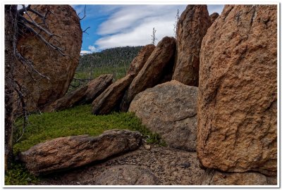 Continental Divide Trail north of Homestake Pass, Montana