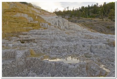 Pallette Spring, Yellowstone National Park