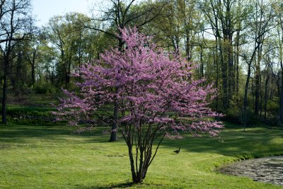 DSC_0151.jpg