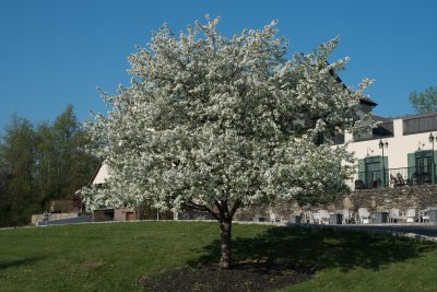 DSC_0156.jpg