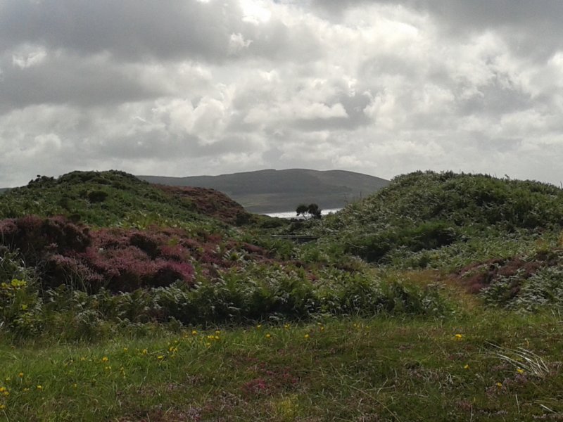 20140811_122211.jpg