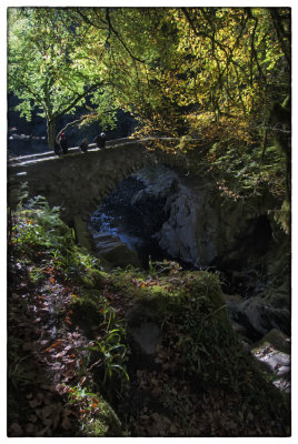 The Hermitage, Dunkeld - DSC_1155.jpg