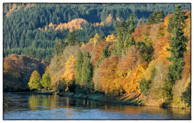 River Tay, Dunkeld - DSC_1684.jpg