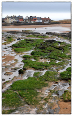 Elie Beach - DSC_3210.jpg