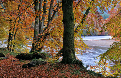 The River Tay, Dunkeld - DWB_0826.jpg
