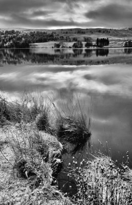 Winter Morning, Loch Rannoch - DWB_1006bw.jpg