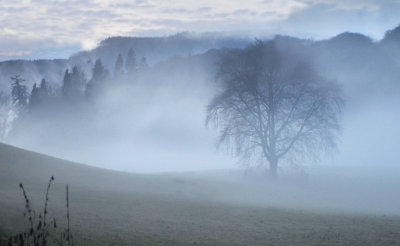 Sun Down, Dunkeld - DWB_1462.jpg