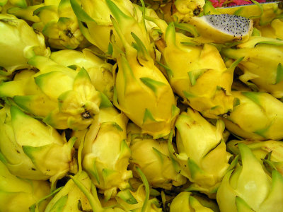 P1010016_yellow_pitaya_8.jpg