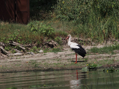 Romania_2015