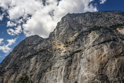 Yosemite99.jpg
