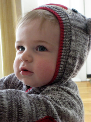 g9/59/637259/3/154160418.lBEmNjHb.jpg