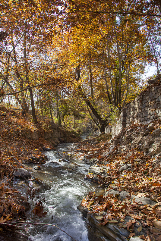 Fall