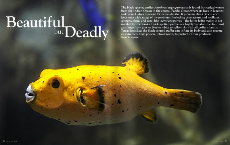 Aquarium World Magazine