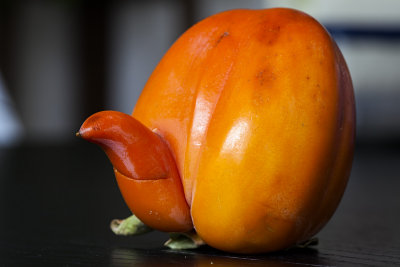 Mr. Persimmon!