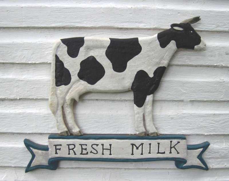 Fresh Milk - Holstein Cow - sign