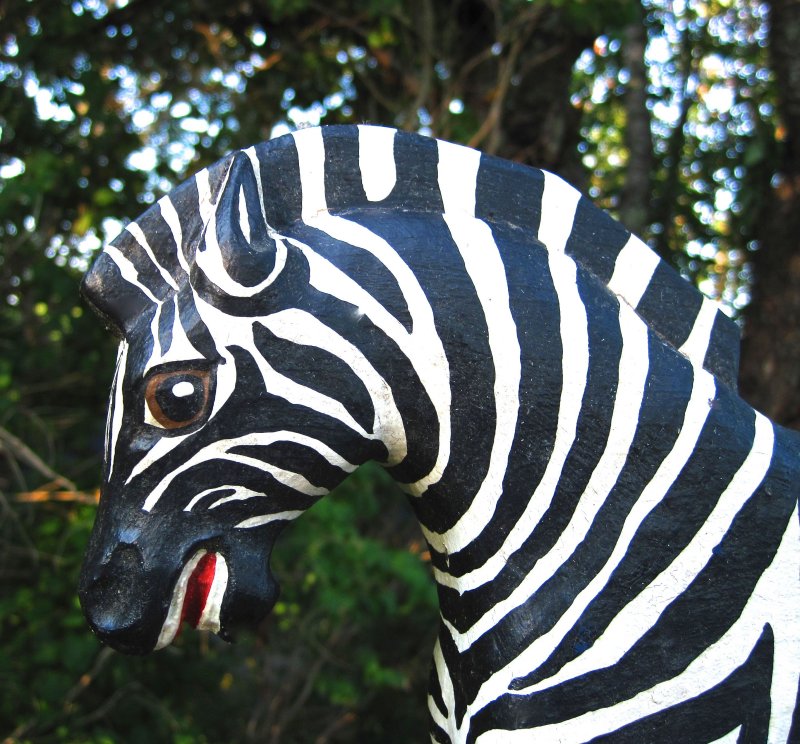 zebra-2.jpg