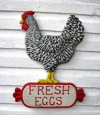 Fresh Eggs - Barred Rock Hen - sign
