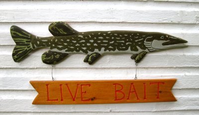 Live Bait fish sign