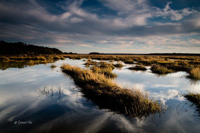 Salt Marsh