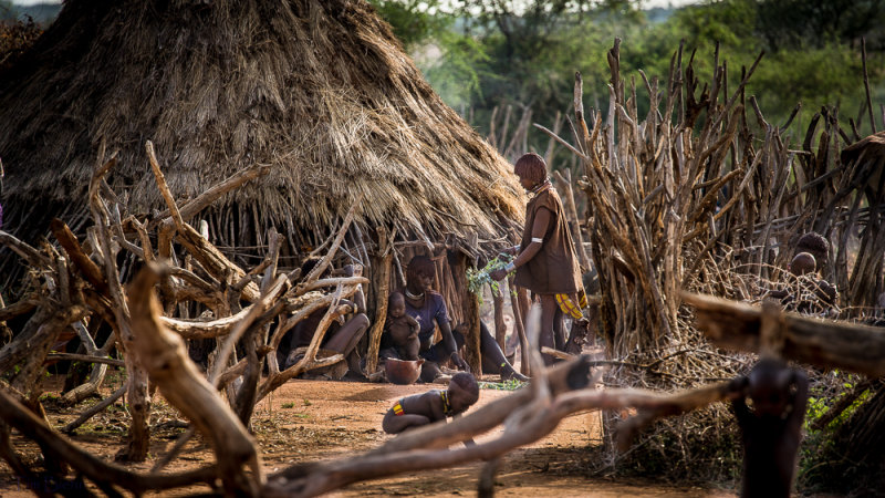 Hamar Village