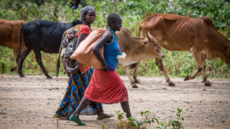 Local Women Walking to Market