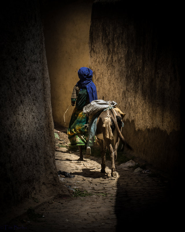 Alleyway in Harar
