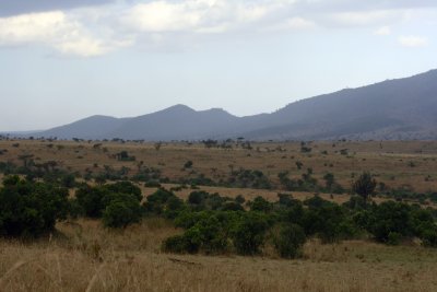 IMG_9583.jpg