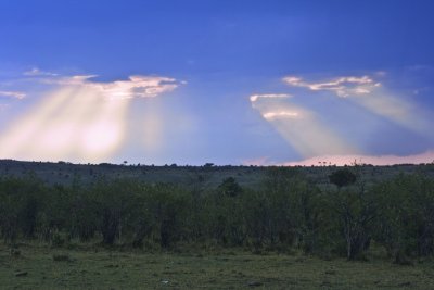 IMG_9617.jpg