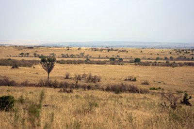 IMG_9625.jpg