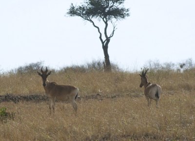 IMG_9629.jpg