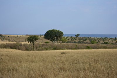 IMG_9632.jpg