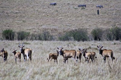 IMG_9700.jpg