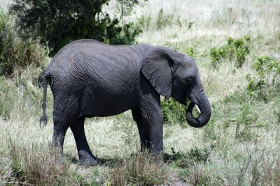 IMG_9709.jpg
