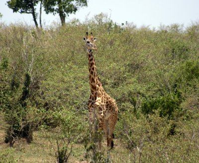 IMG_9769.jpg