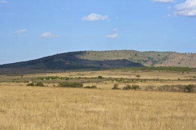 IMG_9969.jpg