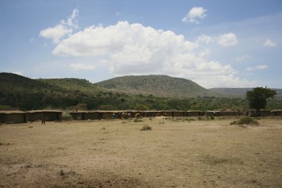 IMG_9950.jpg