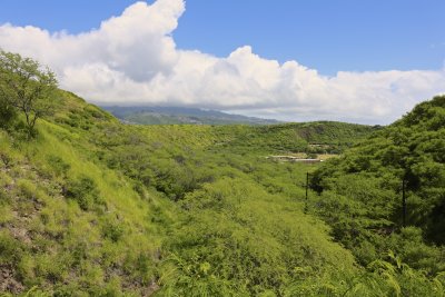 IMG_0593.jpg