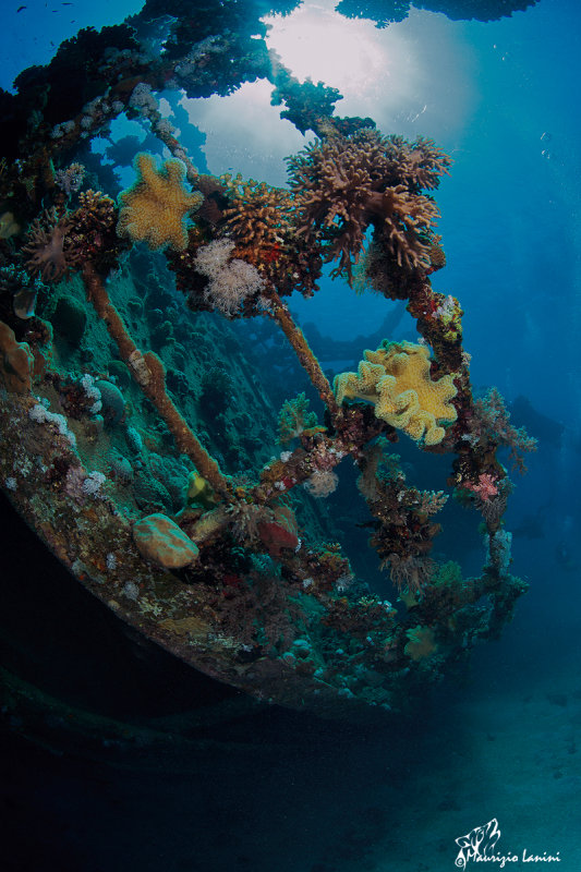 Relitto,Wreck