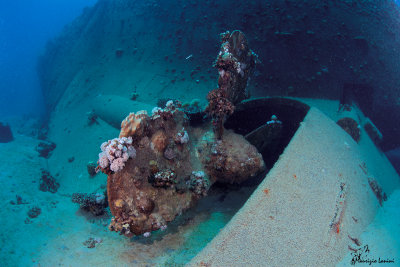 Relitto , Wreck