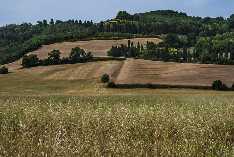 DSC_0837.jpg