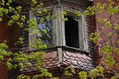_DSC4503.jpg