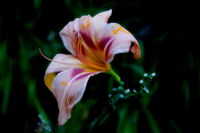 _DSC6838.jpg